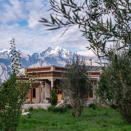 Lchang Nang Retreat-The House Of Trees-Nubra Valley Hotel Sumur Eksteriør billede